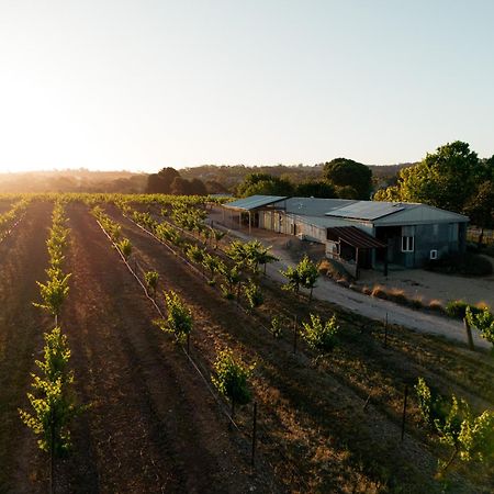Bed In A Shed Vineyard Stay Watervale 외부 사진