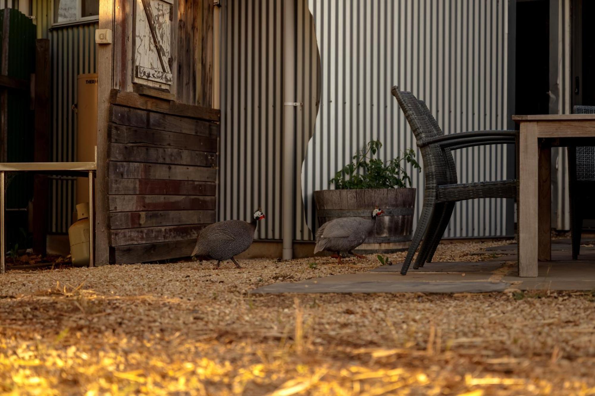 Bed In A Shed Vineyard Stay Watervale 외부 사진