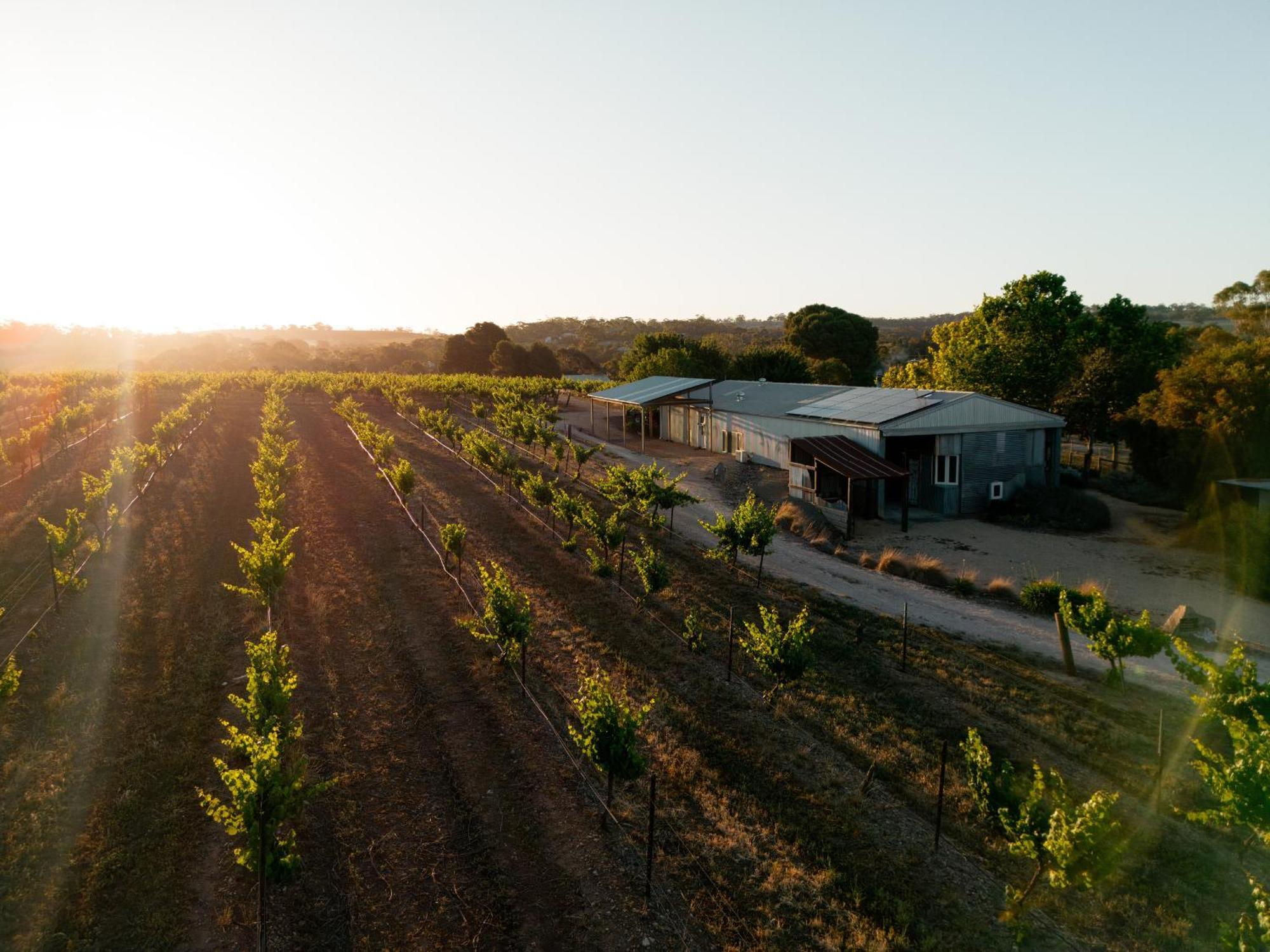 Bed In A Shed Vineyard Stay Watervale 외부 사진